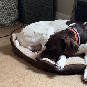 Meet your Posher, Paul